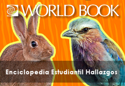 World Book - Enciclopedia Estudiantil Hallazgos